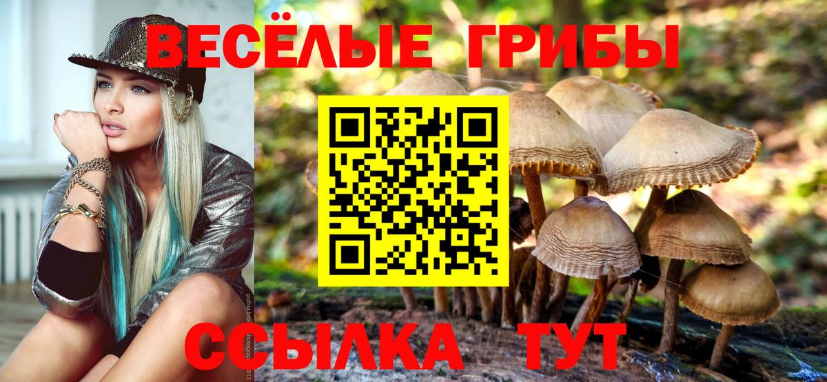 Псилоцибиновые грибы ЛСД  Галлюциногенные грибы прущие грибы  Россошь  Вход с VPN 