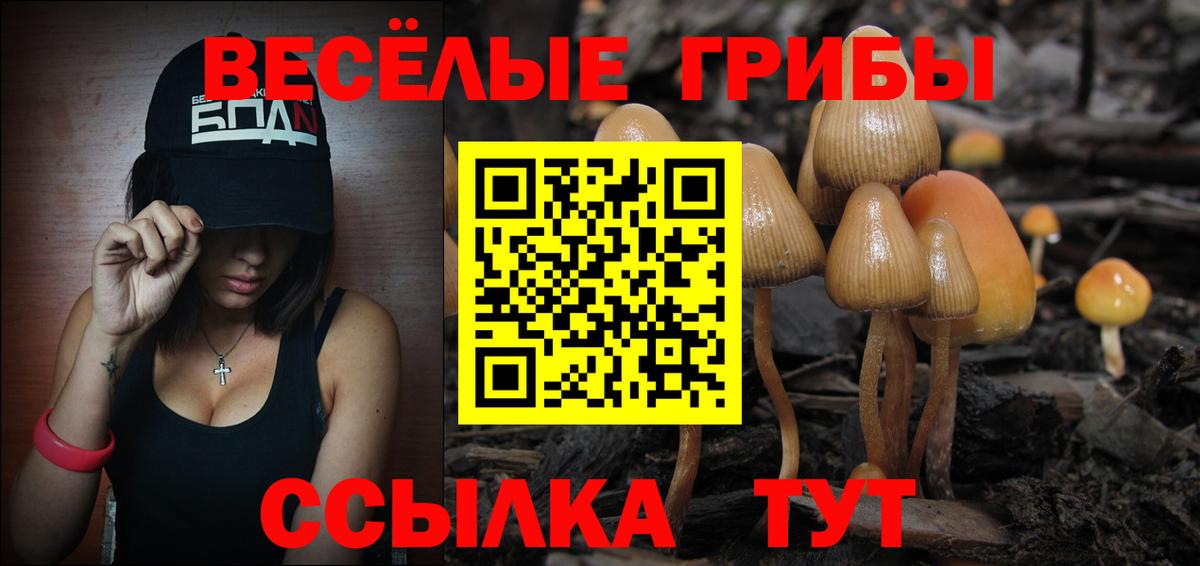 Галлюциногенные грибы Psilocybe Россошь